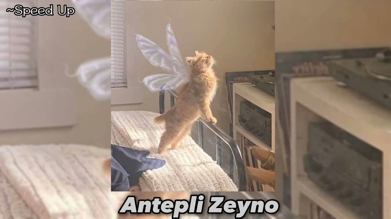 Ceylan- Antepli Zeyno (Speed Up) #şarkı #speedup #music #ceylan