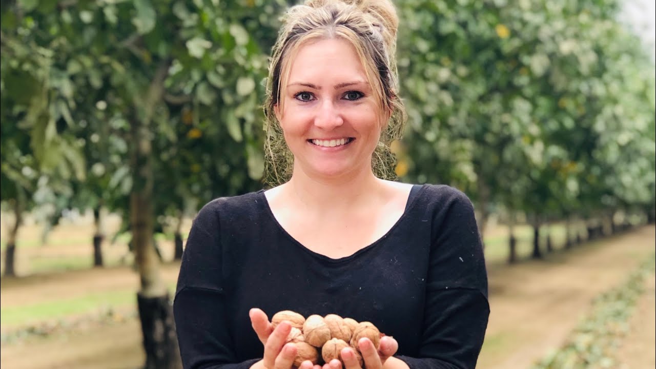 California Walnut Harvest 2019 with Mrs. FTR!!