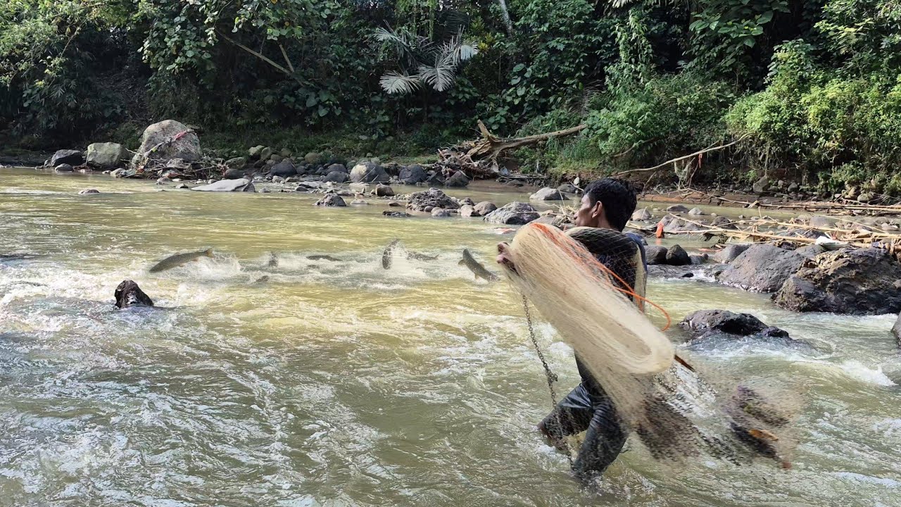 AIR SUNGAI SUDAH MULAI SURUT SAATNYA BERBURU IKAN