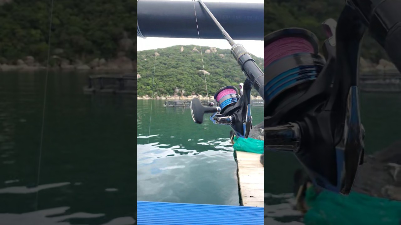 chuyện  tào lao  bác  sế. #shortvideo  #fishing