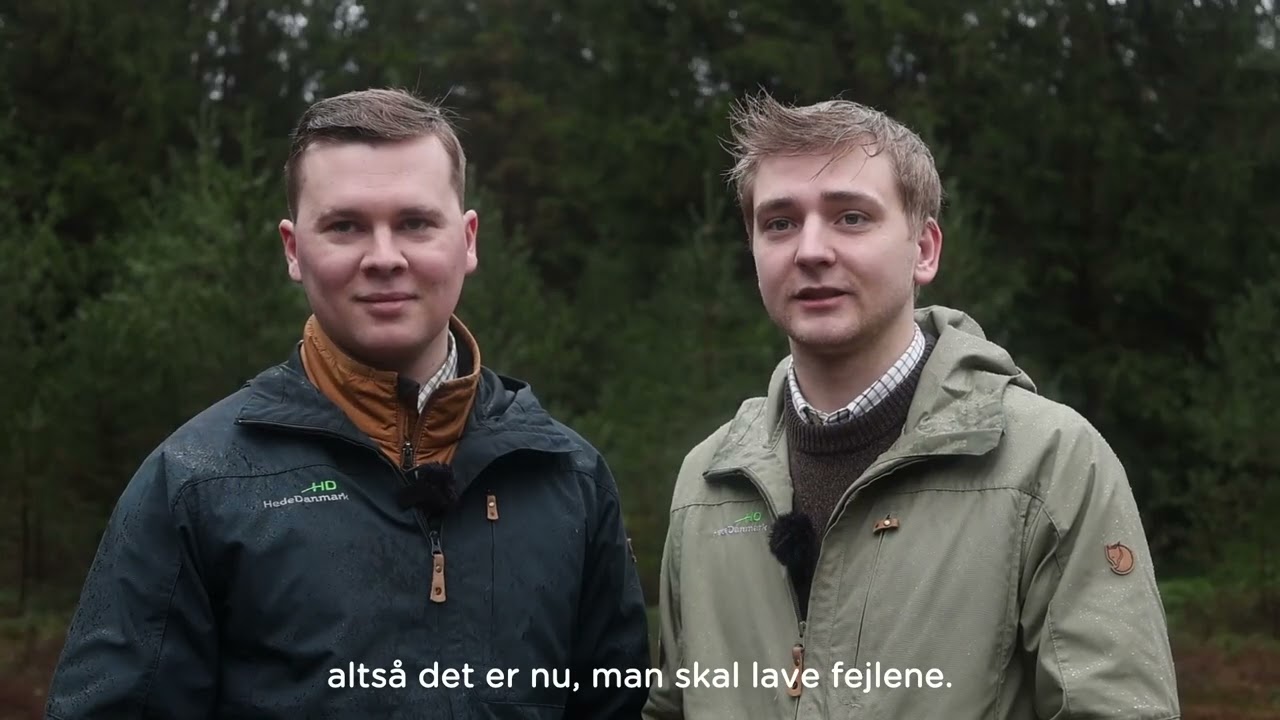 Hvorfor v&aelig;lge et praktikophold hos Dalgas?