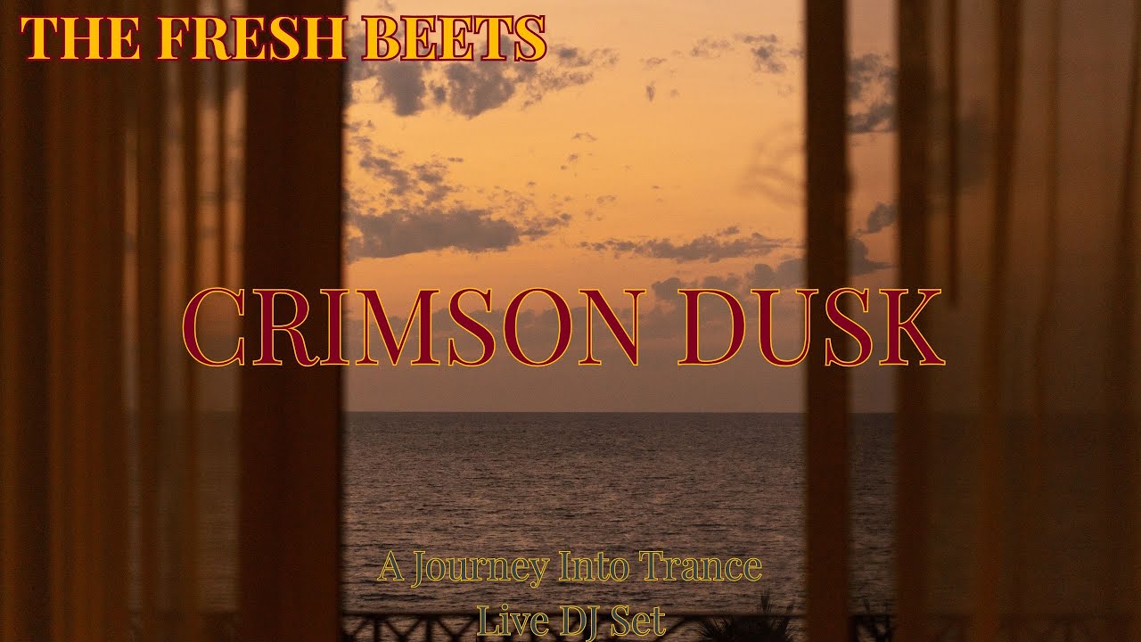 Fresh Beets - Live DJ Set - Trance Music - November 11, 2025
