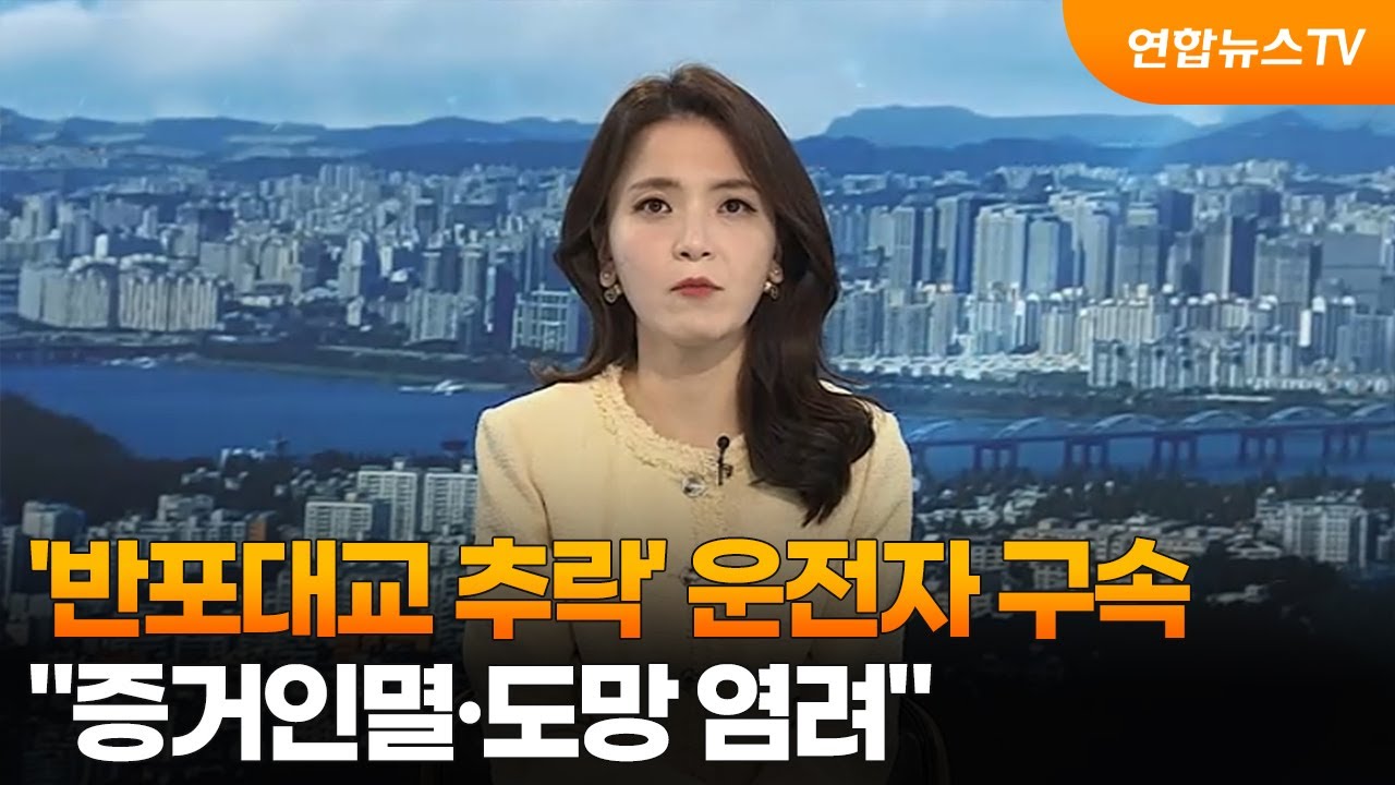 [뉴스초점] '반포대교 추락' 운전자 구속…