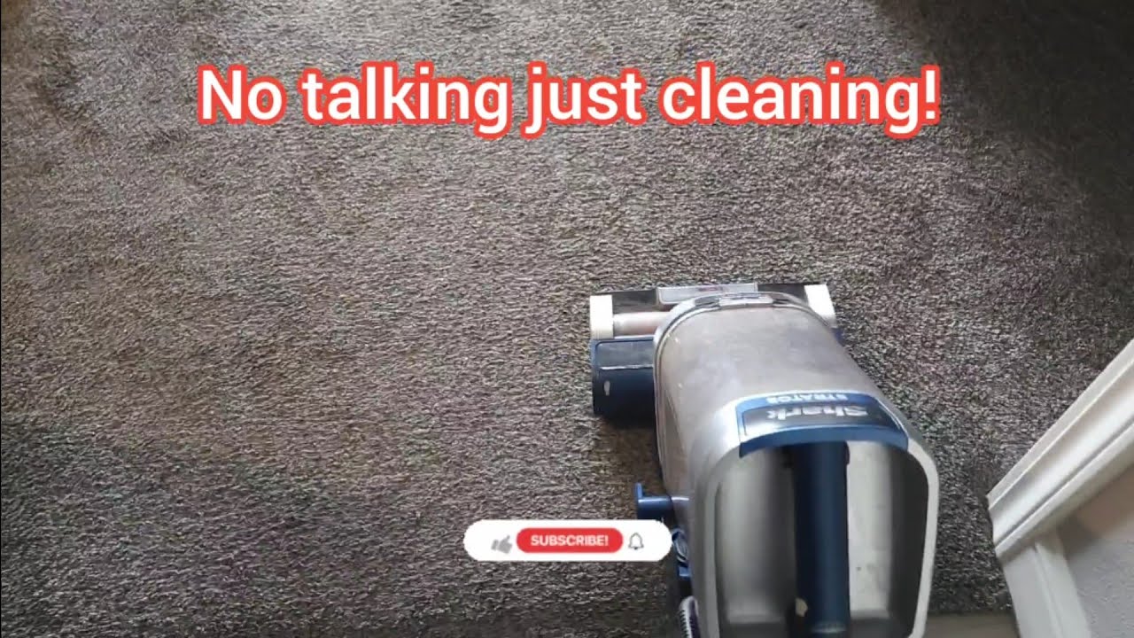 Watch This Carpet Go from Filthy to Flawless in Minutes!