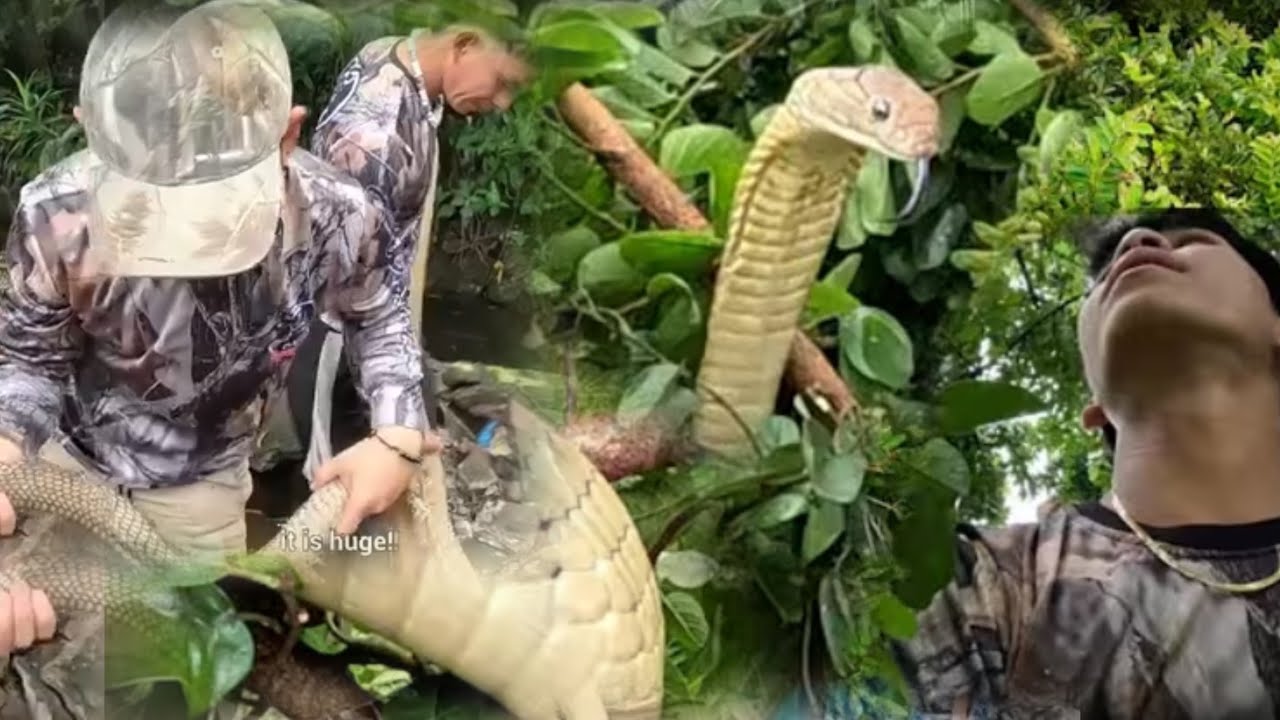 BUHAY ANG ITINATAYA SA BAWAT RESCUE#cobraprince 