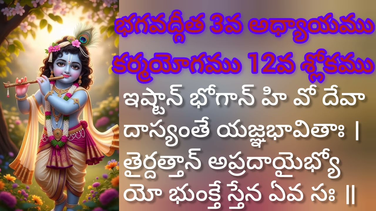 భగవద్గీత 3వ అధ్యాయము 12వ శ్లోకము సులభతర తాత్పర్యము. కర్మయోగము.||Gita Sloka Vani||