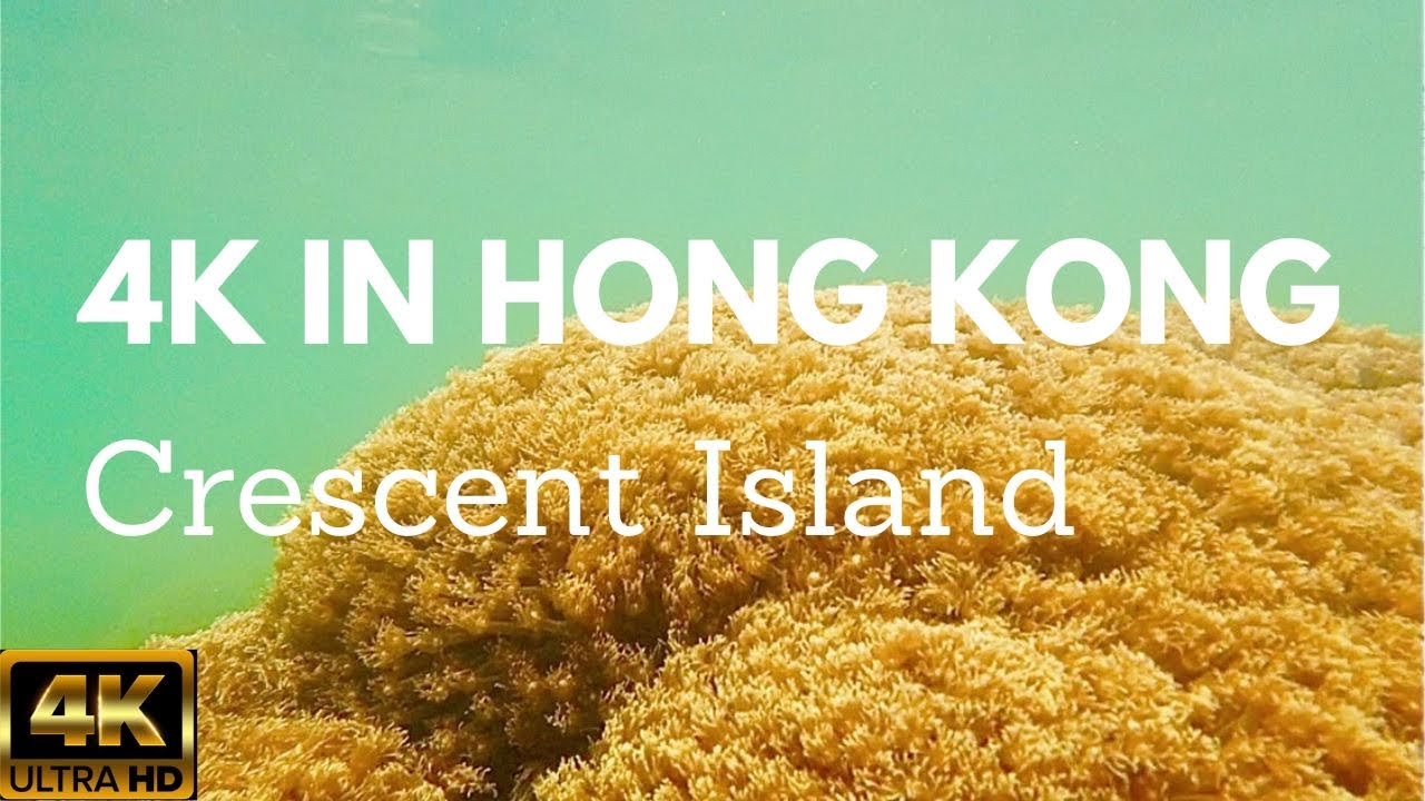 4K in Hong Kong Crescent Island