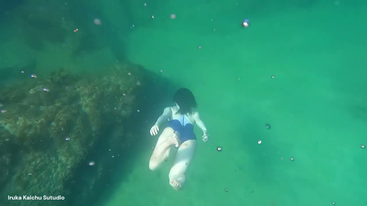 2023年の水中動画まとめ（ショート版）