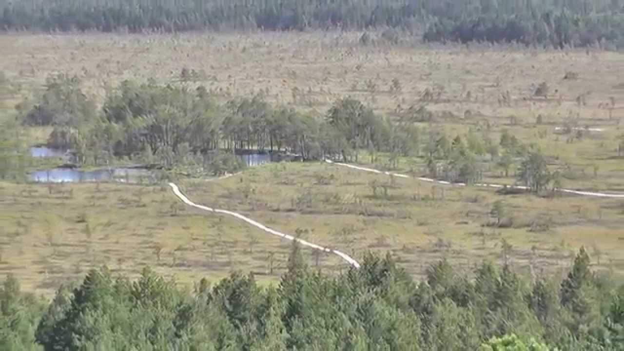 Потрясающий зум видеокамеры Panasonic HC-V520