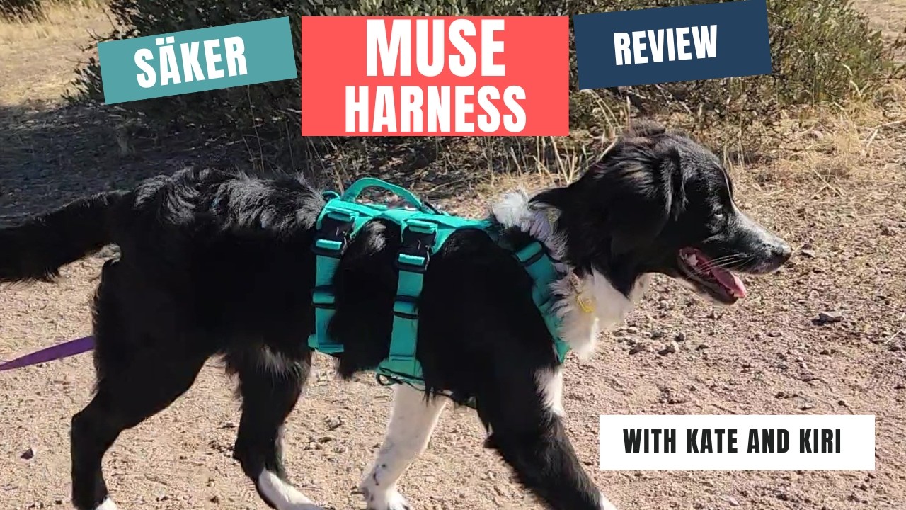 Säker Muse Harness Review: A Great Multifunctional Hiking harness