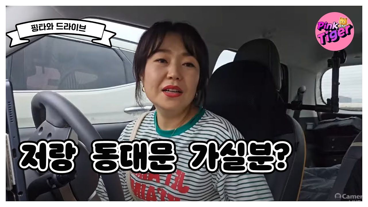 핑타의드라이브  같이 동대문가실래요?