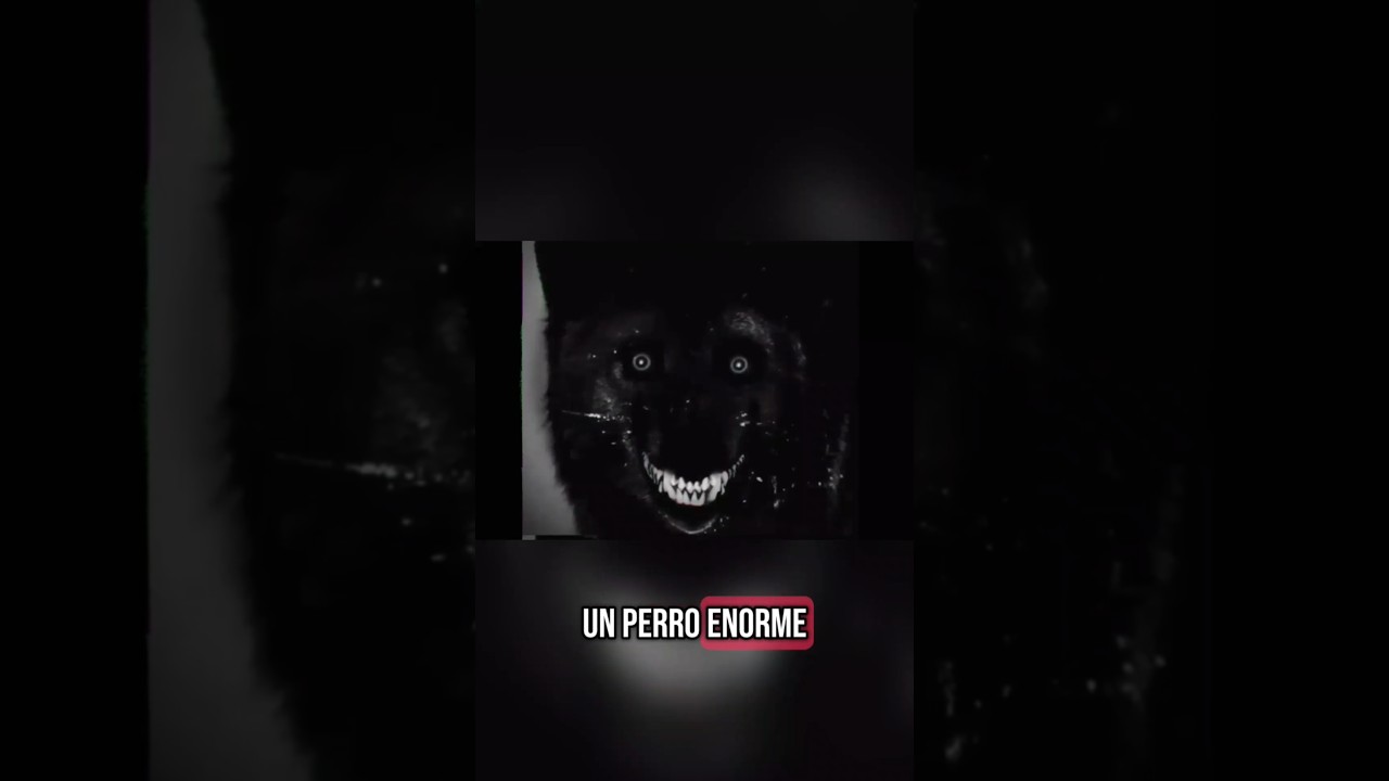 ve a los comentarios#Shorts #ElNahual#RelatosDeTerror  #HistoriasQueEnganchan #TerrorEn60Segundos