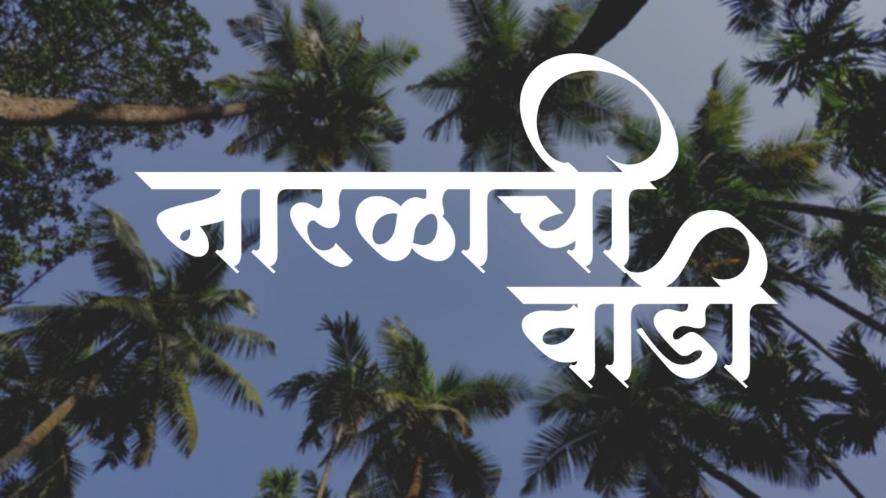 कोकणातील नारळाची उत्पन्न देणारी वाडी अविश्वसनीय किमतीत !!!