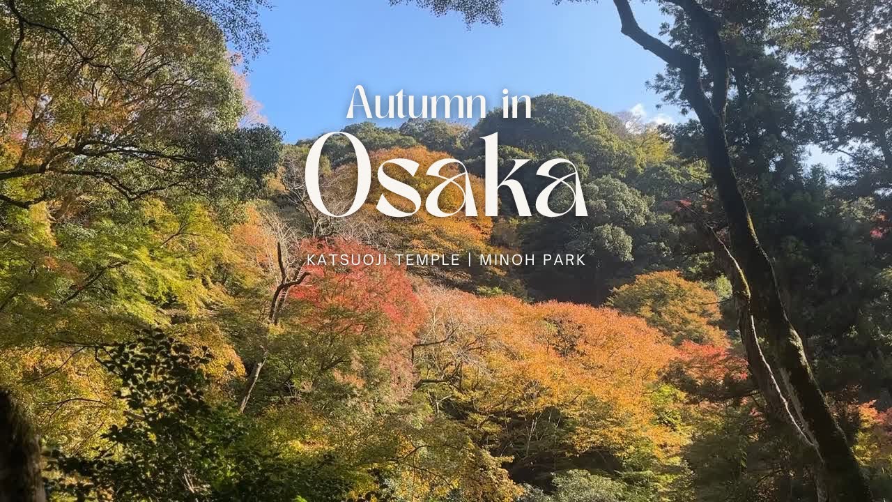 Autumn in Japan 🍁 | Katsuoji Temple, Minoh Park, Cafes & Cozy Eats