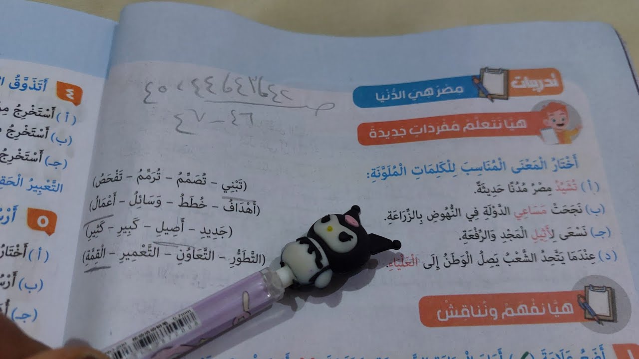 حل صفحة 42 و 43 و 44 و 45 كتاب المدرسة لغة عربية للصف السادس تدريبات درس مصر هي الدنيا 