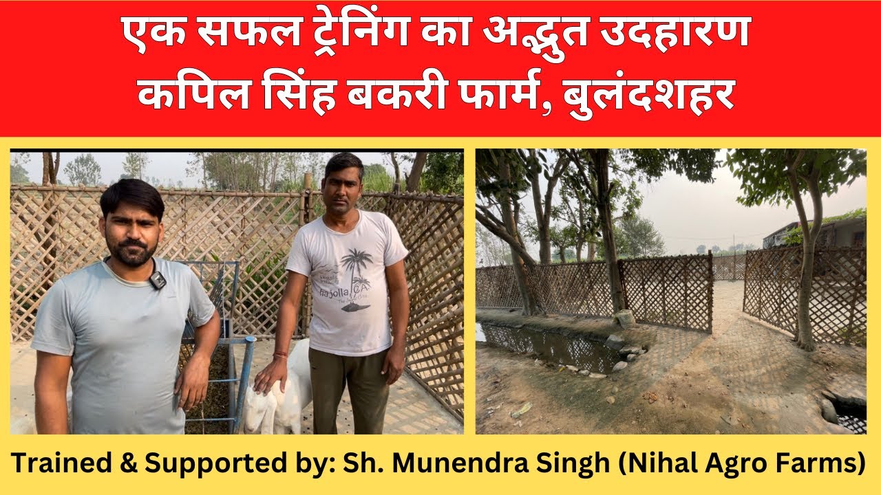 एक सफल ट्रेनिंग का अद्भुत उदाहरण - कपिल सिंह बकरी फार्म, बुलंदशहर