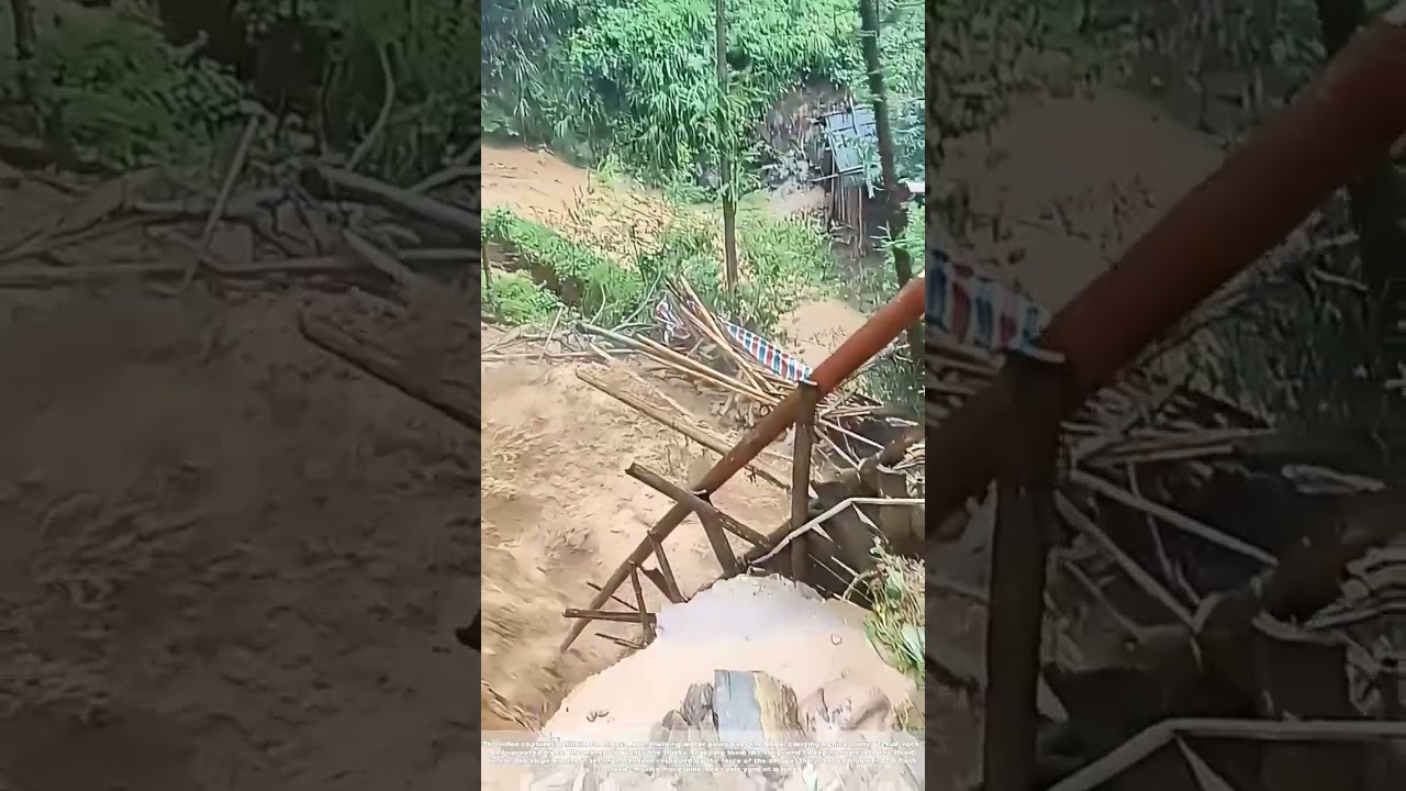 Surge and Slide: How Floodwater Tore Trees and Earth from a Mountain Slope