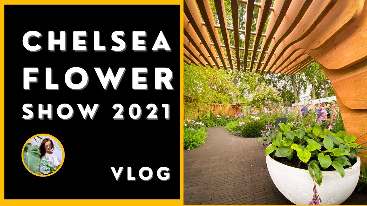 Zwiedziłam najbardziej prestiżową wystawę ogrodniczą na Świecie - Chelsea Flower Show