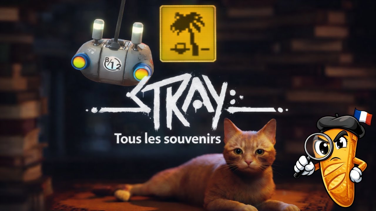 Stray – Tous les souvenirs (Guide 100%) : Trophée 