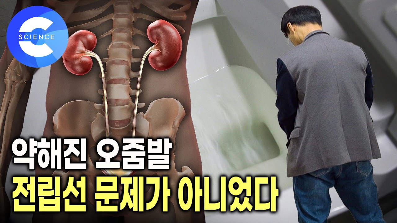밤에 자다깨서 가는 화장실, 자주 가지 않으려면? | 배뇨장애 개선 방법 | 야간뇨 치료법 | 배뇨증상 개선 운동법 | 귀하신몸