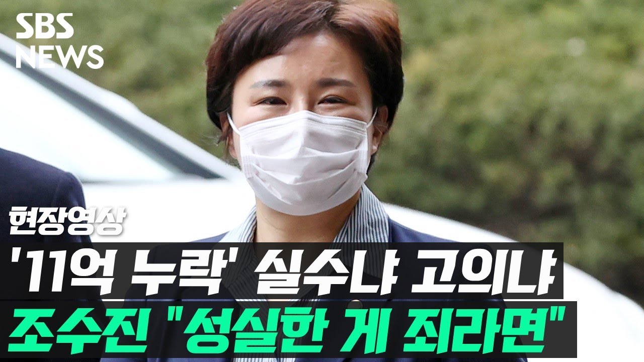 국민의힘 조수진 