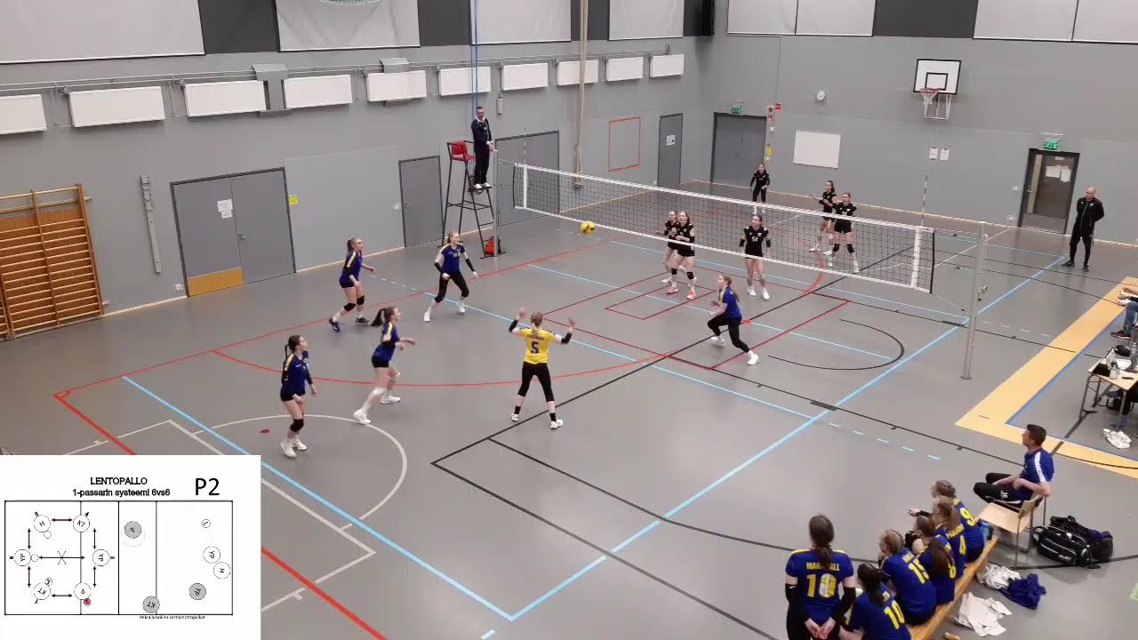 Kentällä sijoittuminen lentopallossa 6vs6 pelissä (Kaavion vaihtelu sinikeltaisten mukaan)