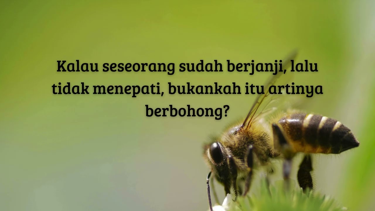 Renungan Menagih Janji