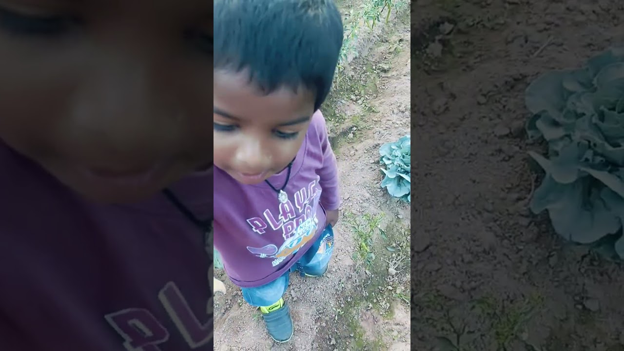 //తేజ బాబు అల్లరి పొలం దగ్గర//తేజ కూరగాయల తోట చూపిస్తున్నాడు ఫ్రెండ్స్ కి//