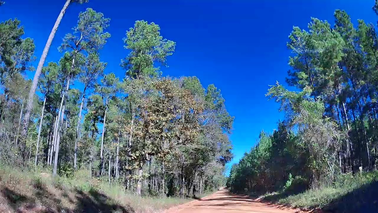 Waynesboro GA Rural Road Adventure | Beautiful 4K Drive
