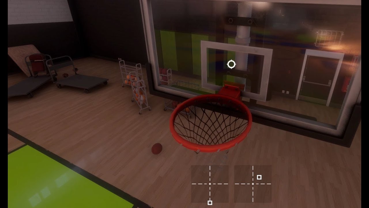 FPV Basketball