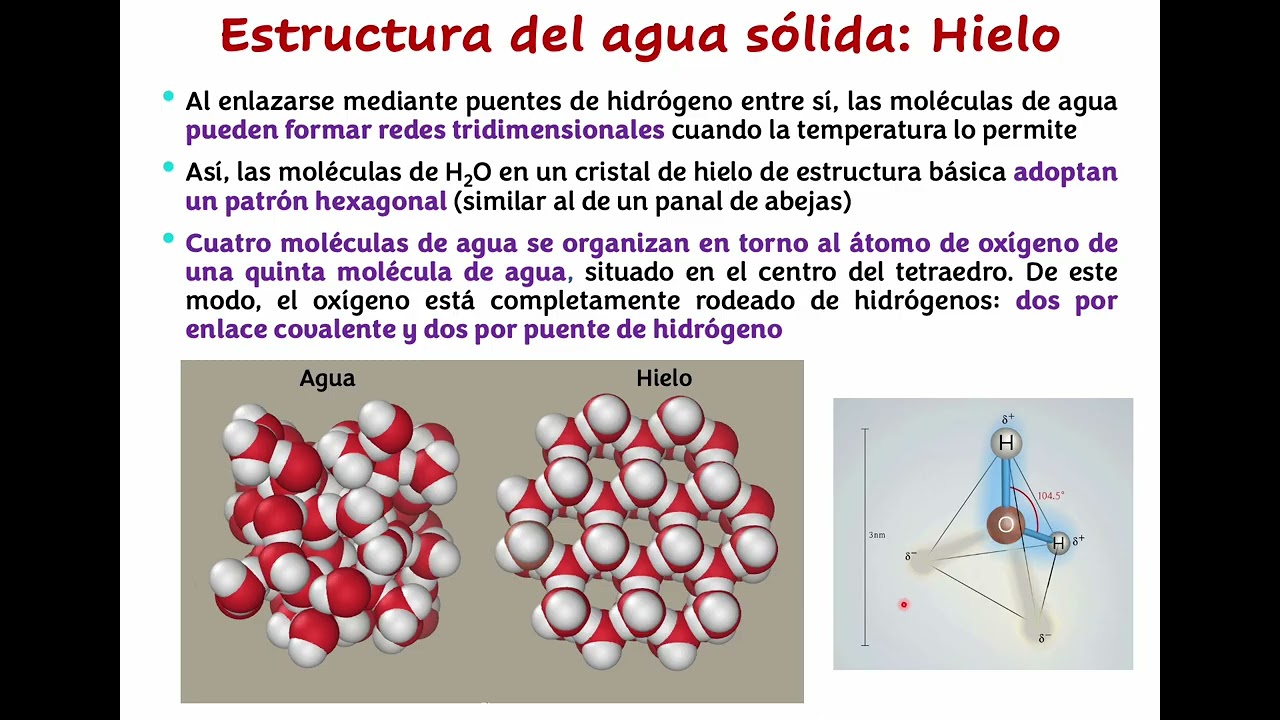 El Agua. Introducción a la Bioquímica