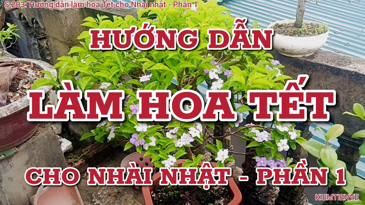 HƯỚNG DẪN LÀM HOA TẾT CHO NHÀI NHẬT - PHẦN 1