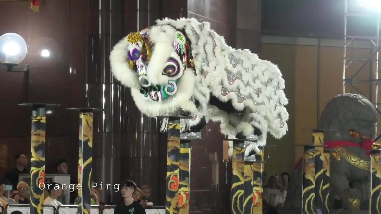 第二十八届義安城全国舞狮锦标赛 28th Ngee Ann City National Lion Dance Championships 2024  (1)