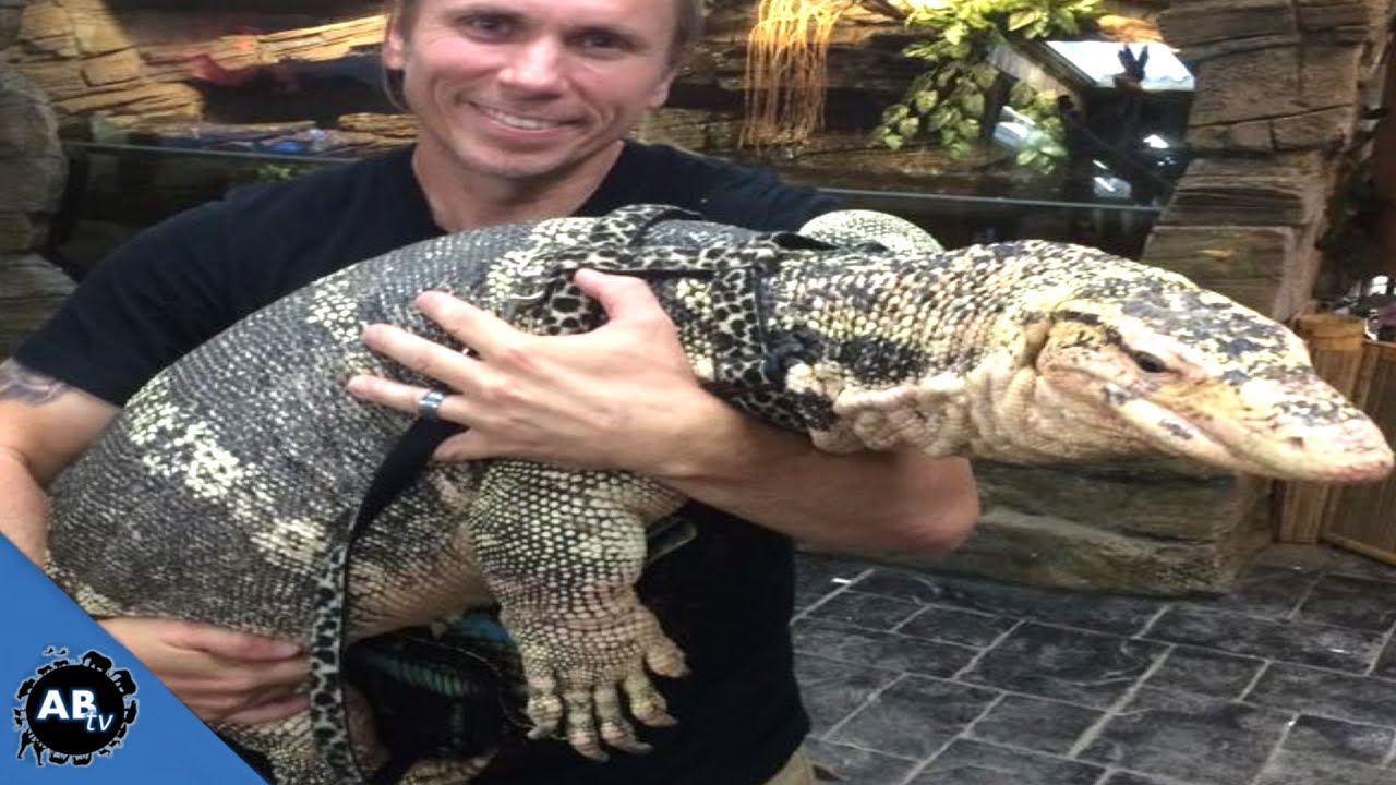 World's Largest Lizards! SnakeBytesTV