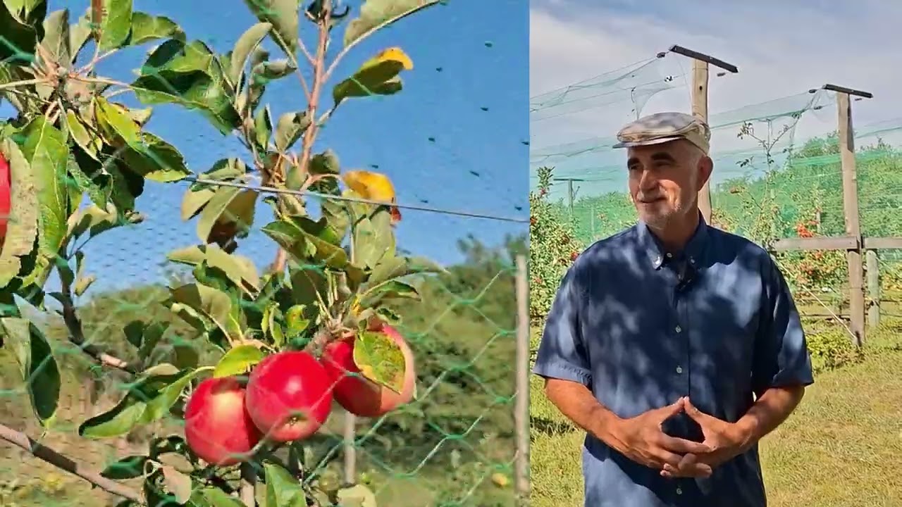 PRODUCCION DE MANZANAS AGROECOLOGICA EN COLONIA HUGUES ENTRE RIOS