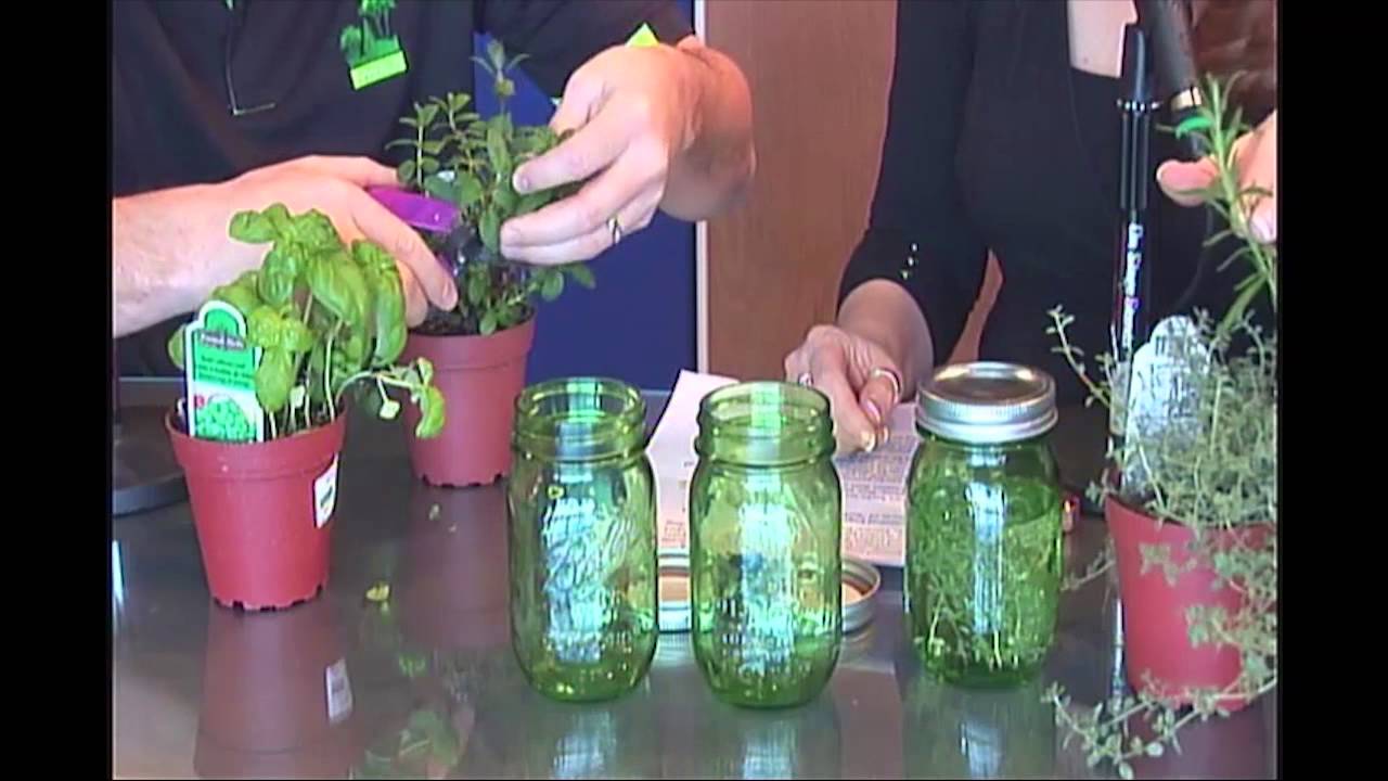 How to Make Herb Infused Vodka Ep. 12 Ft. 4