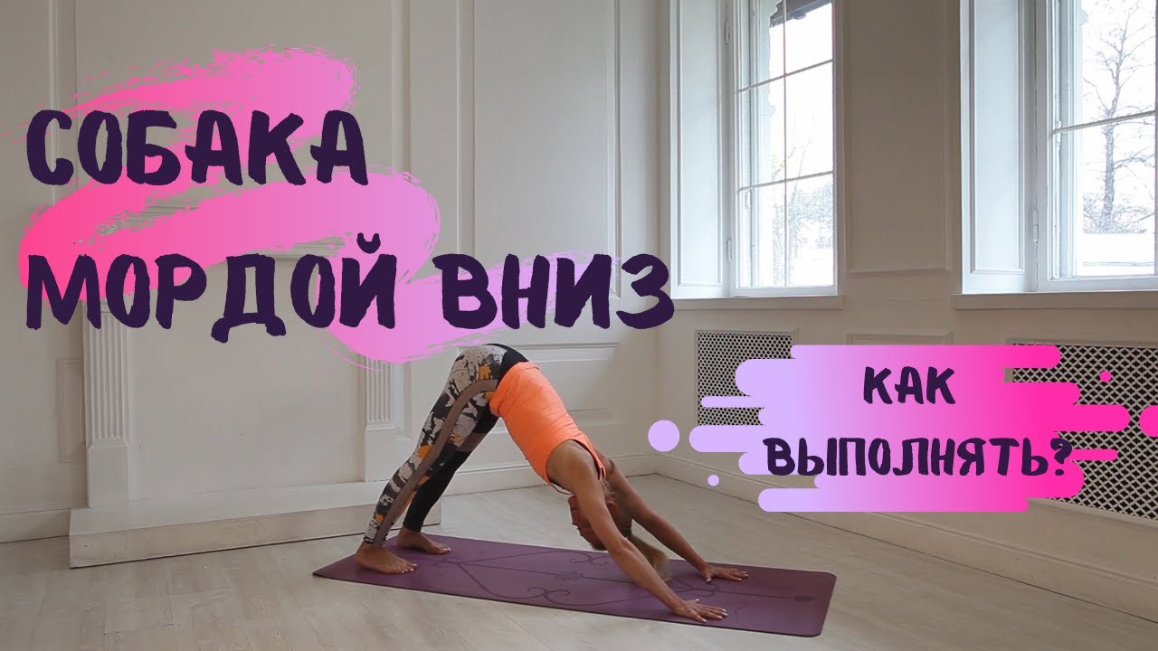 Собака мордой вниз. Техника выполнения