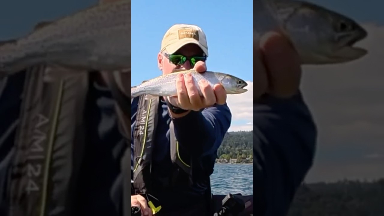 Lake Sammamish Fishing Report | September 15 