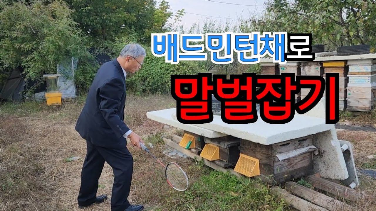 배드민턴채로 말벌잡기 - 베짱이 도시농부