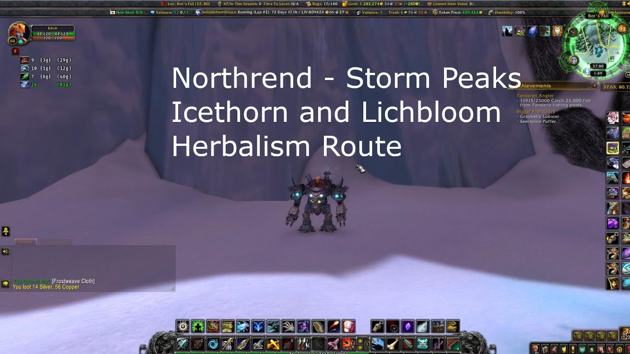 Storm peaks icethorn lichbloom