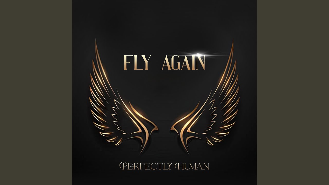 Fly Again