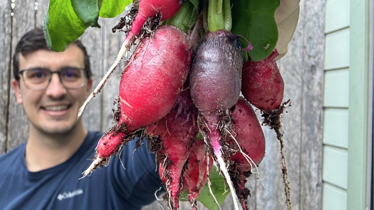 I Grew Radishes in Just 20 Days Using Kratky Hydroponics