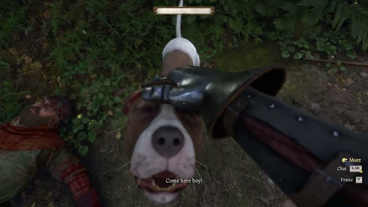 trolling mutt