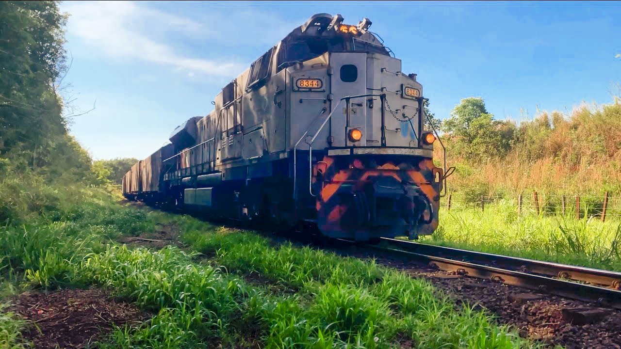 Trem com Locomotivas SD70 | Maquinista dá show no buzinaço