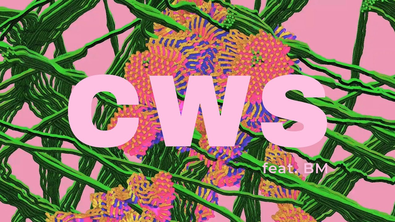 WOOSUNG &ndash; CWS (feat. BM of KARD) | Brainwave Visualizer