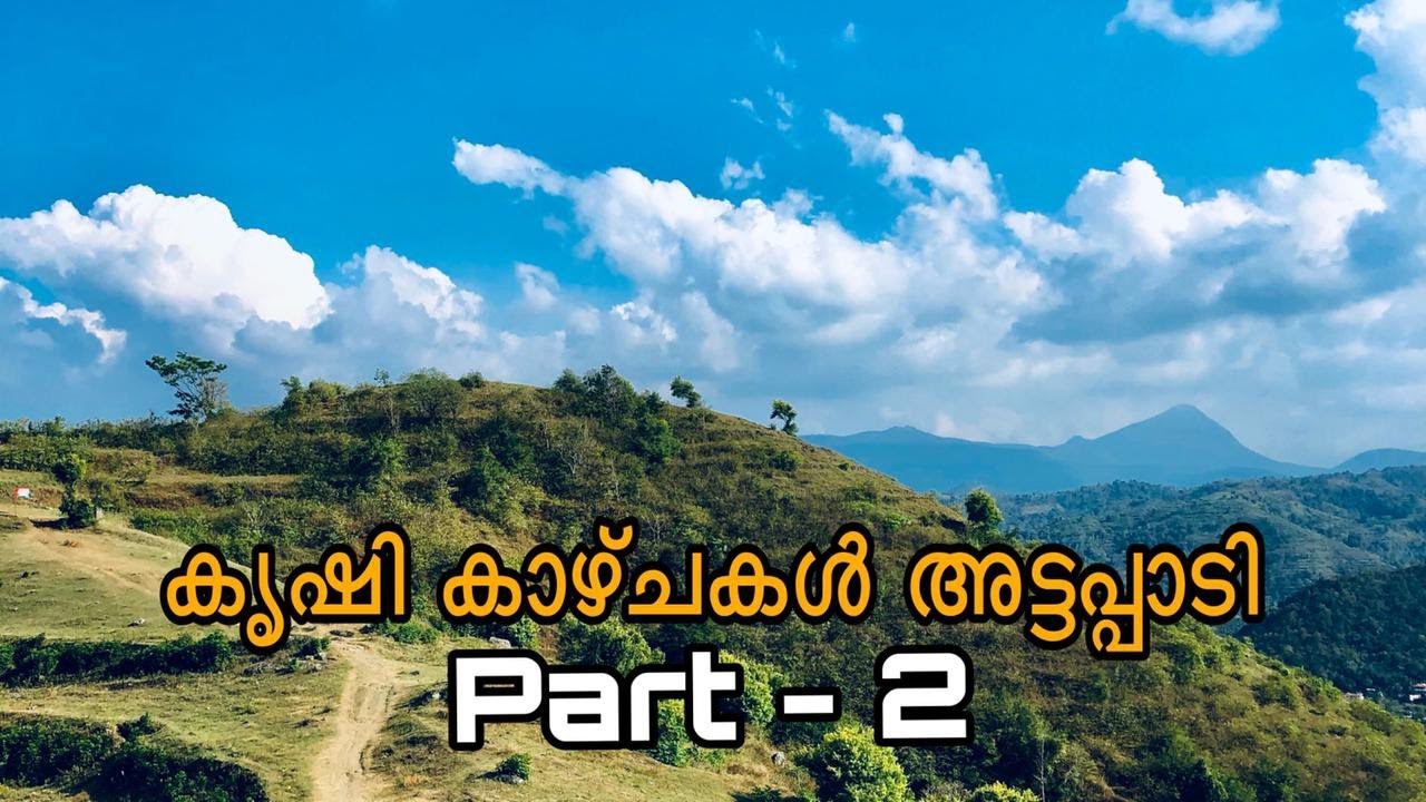 കൃഷിയാത്ര അട്ടപ്പാടി PART- 2 | നിലക്കടല കൃഷി I Fruits Garden | Vegetable Garden | Ente Krishiyidam