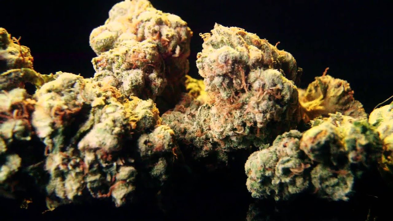Raw Footage Snoops OG