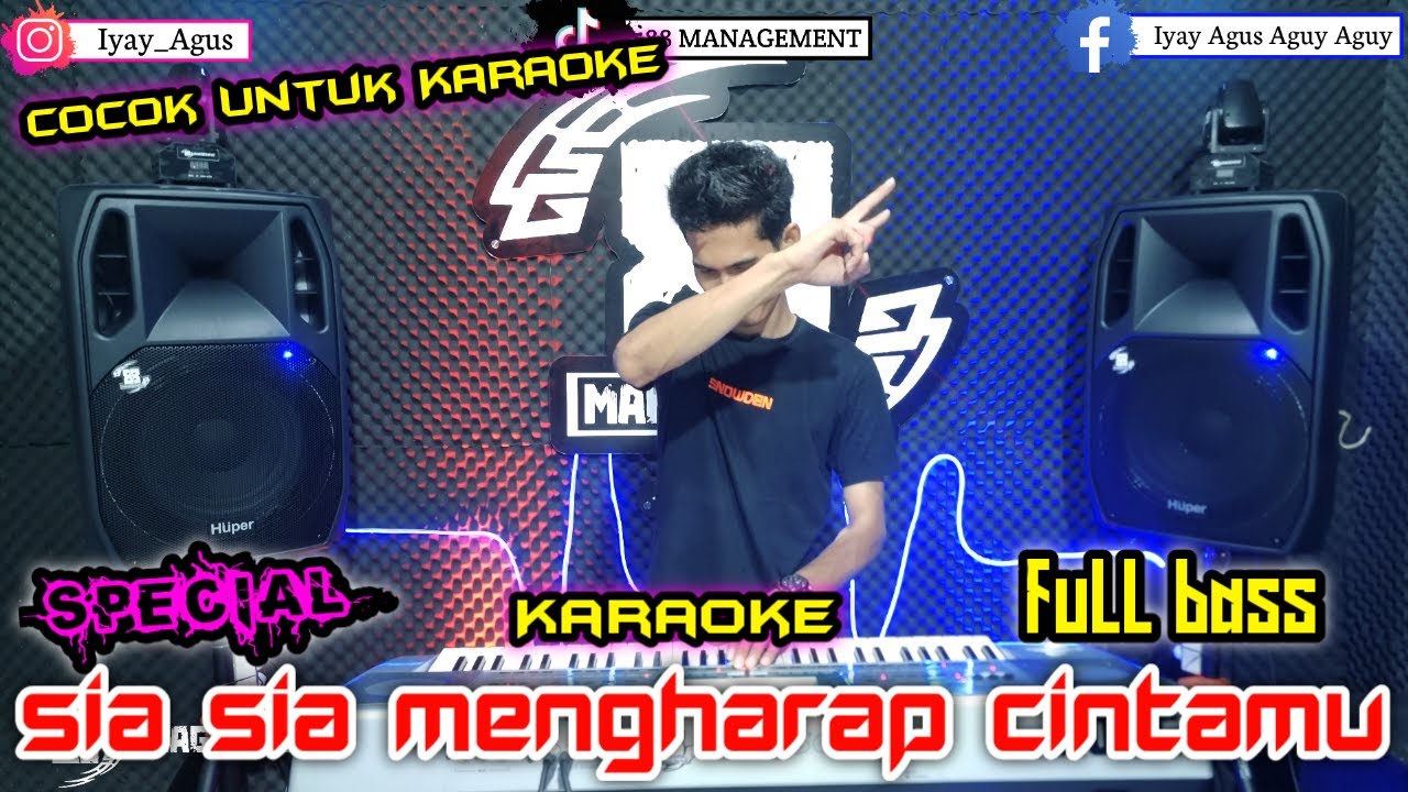 SIA SIA MENGHARAP CINTAMU || REMIK LAMPUNG TERBARU 2024 || arr iyay_agusS