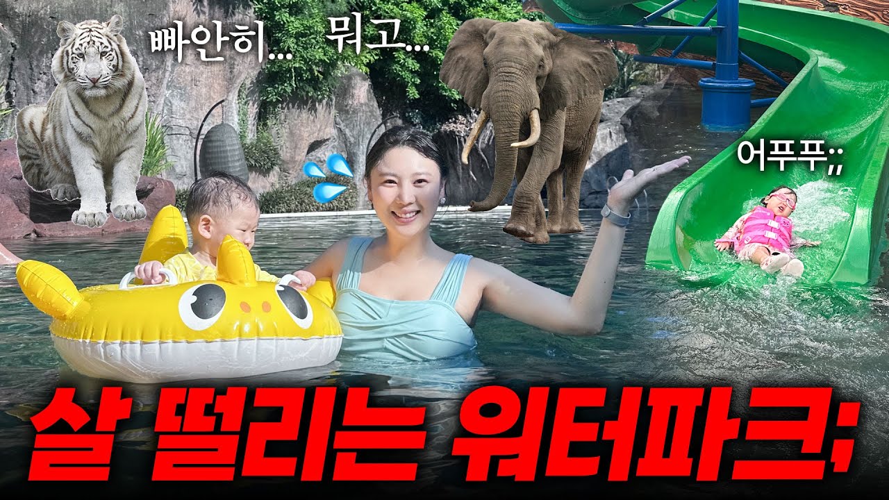 🦁사자랑 🐯호랑이 앞에서 수영이요..? 내돈내산리뷰
