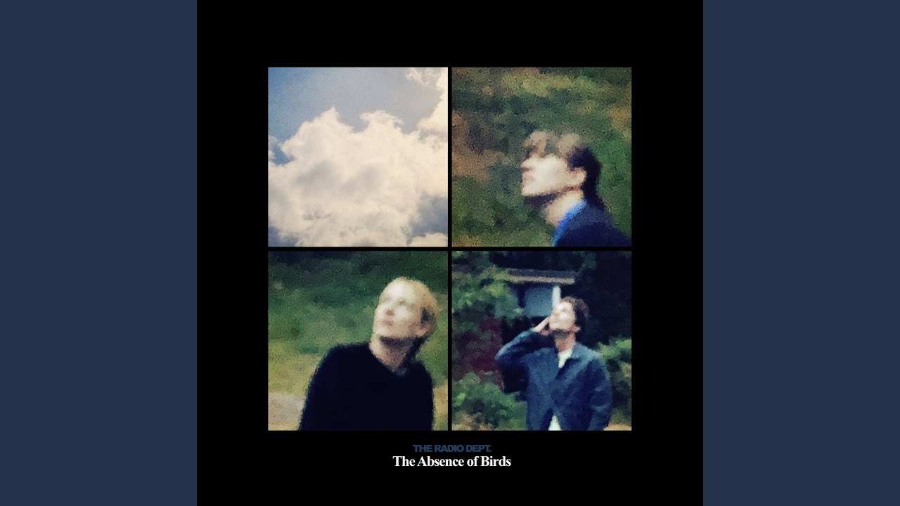 The Absence of Birds